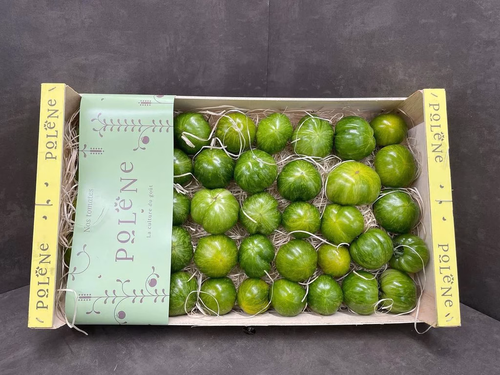 prod-345755093_590008863229832_6470969463848474027_n_1024x1024.jpg.avif Fruits and Vegetables - Green Zebra Tomato - Tomate Green Zebra Pleine Terre