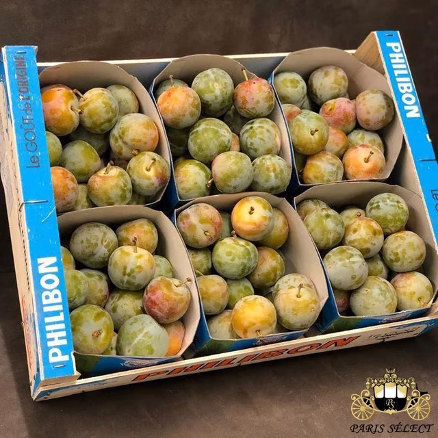prod-66444435_155459208960913_6494502137025658158_n_1024x1024.jpg.avif Fruits and Vegetables - Greengage Plum - Prune Reine Claude